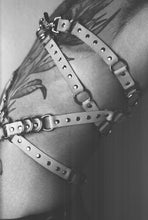 Load image into Gallery viewer, cyan wrap harness
