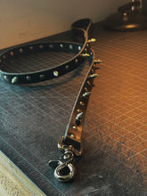Load image into Gallery viewer, spiked leash
