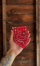 Load image into Gallery viewer, hanky pocket flag
